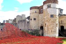 Horse Guards Parade, Westminster & Tower of London: Full-Day Tour in London, City of London